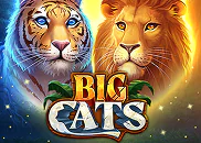 Big Cats slot